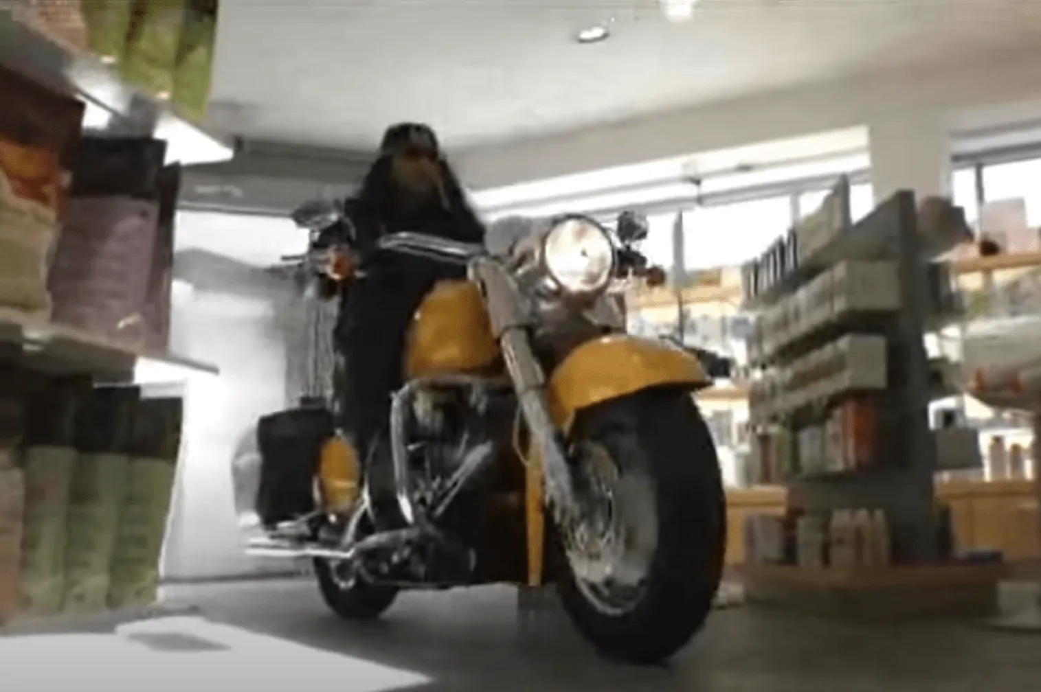 Standbild aus dem Video: ein Motorrad mit Fahrer fährt durch die Apotheke